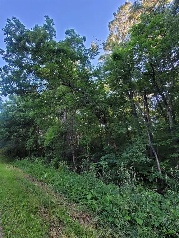 000 US Highway 12 Lot 4, Merrillan, WI 54754 - #1
