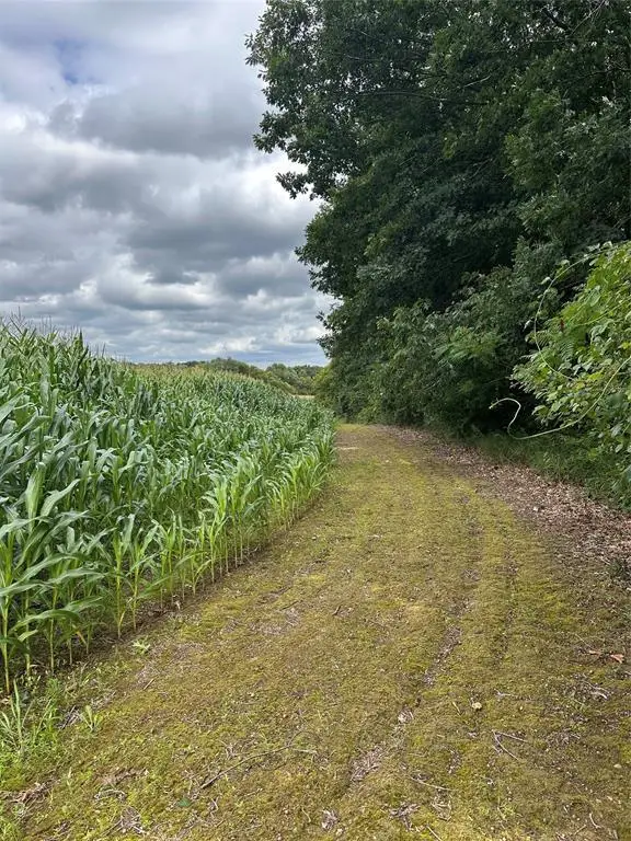 40 Acres 180th Street, Chippewa Falls, WI 54720 - #2