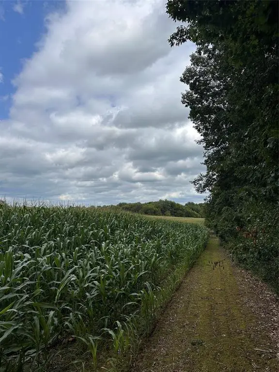 40 Acres 180th Street, Chippewa Falls, WI 54720 - #3