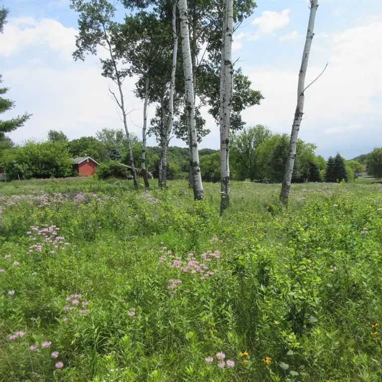 Lot 12 516th Street, Menomonie, WI 54751 - #1