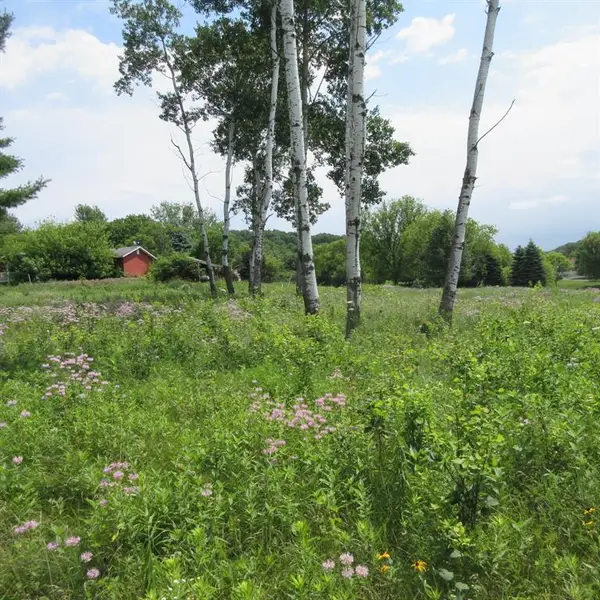 Lot 12 516th Street, Menomonie, WI 54751