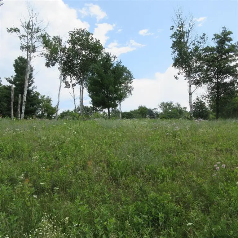 Lot 13 516th Street, Menomonie, WI 54751 - #1
