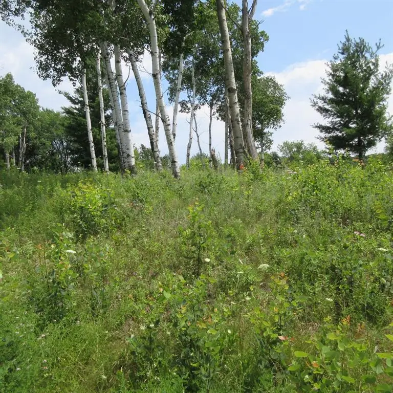 Lot 13 516th Street, Menomonie, WI 54751 - #2