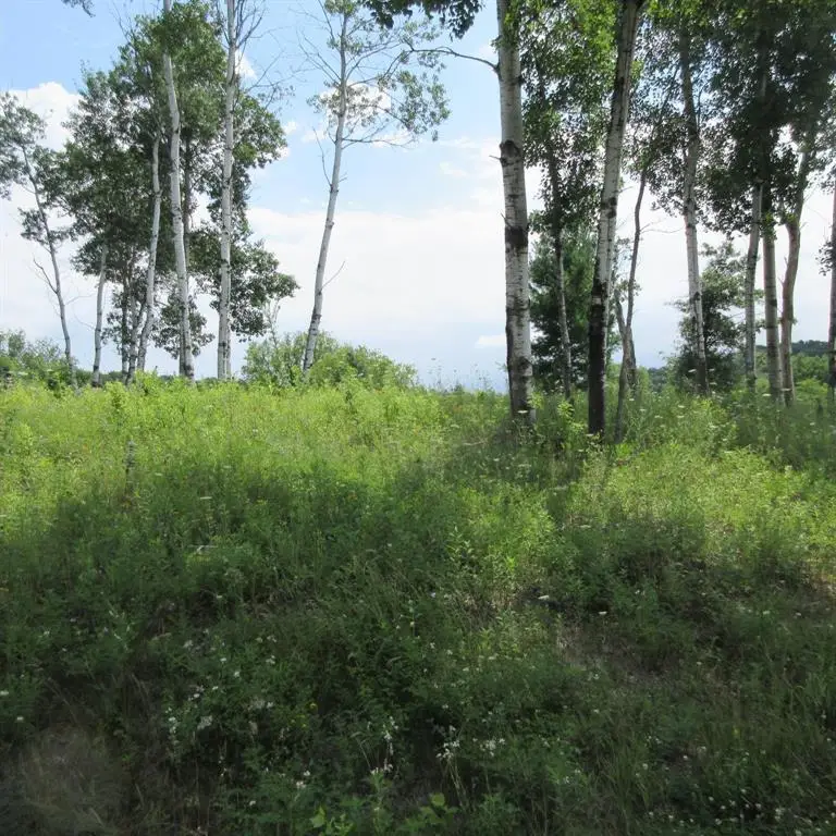 Lot 13 516th Street, Menomonie, WI 54751 - #3