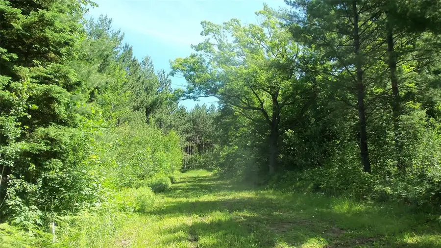 XXX Bashaw Store Road, Shell Lake, WI 54871 - #2