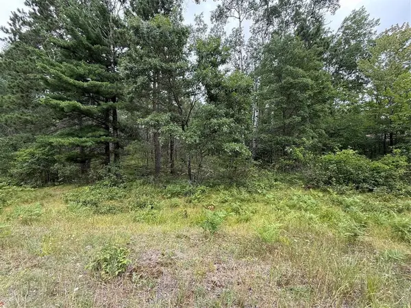 Lot 56 George Lake Road, Barnes, WI 54873