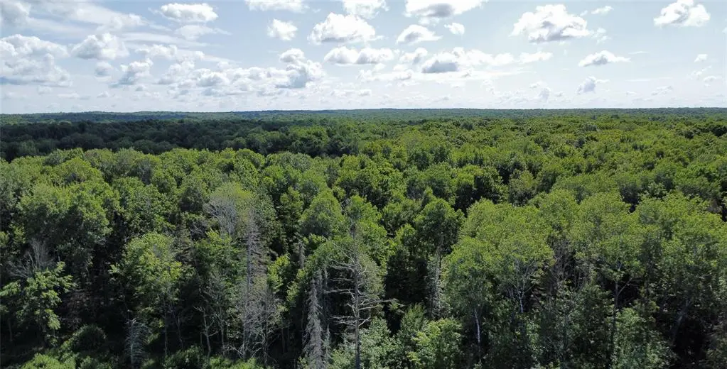 W10816 Bergman Road, Merrill, WI 54452 - #1