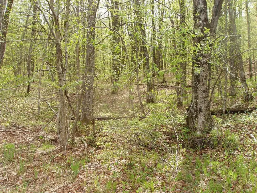 N16473 Patterson Lake Road, Park Falls, WI 54552 - #2