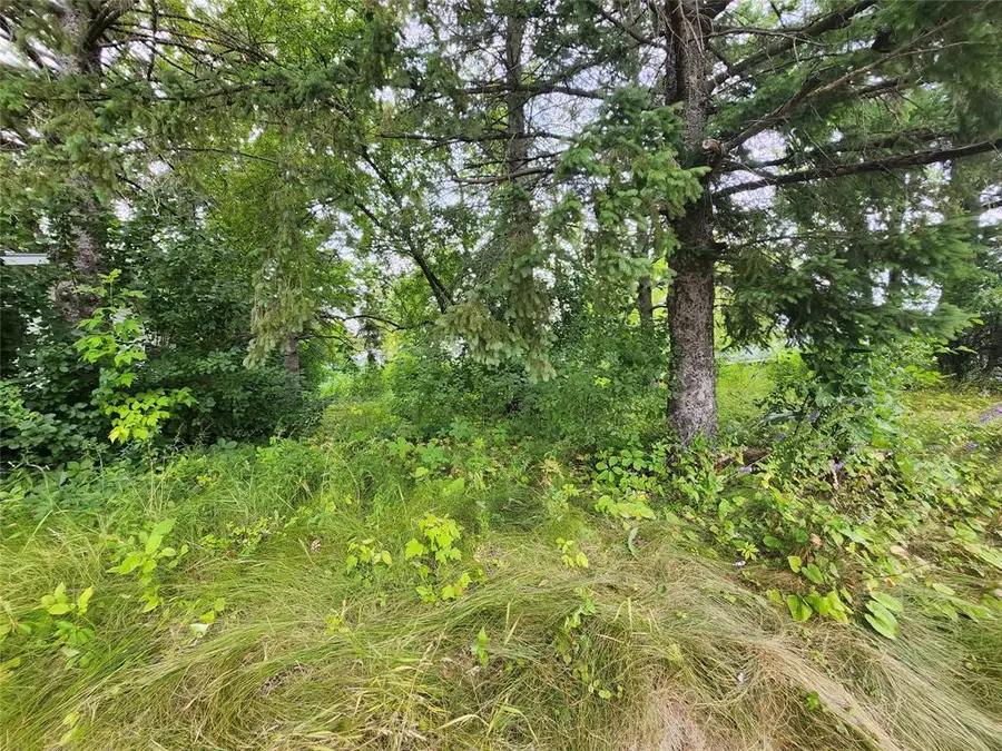 Lot 4 & 5 Main Street, Birchwood, WI 54817 - #3
