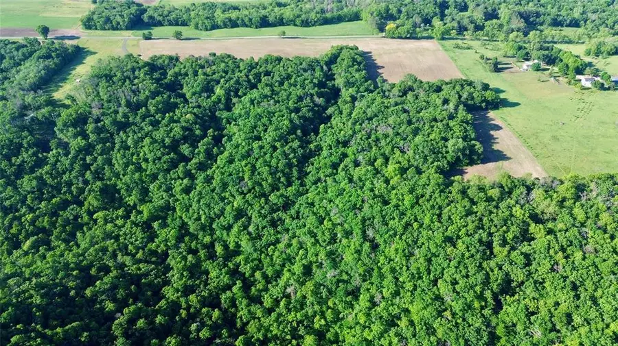 TBD 160th Avenue, Maiden Rock, WI 54750 - #3