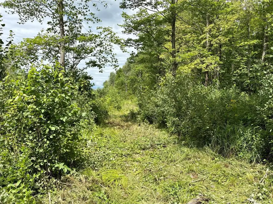000 Girod Road, Ladysmith, WI 54848 - #3