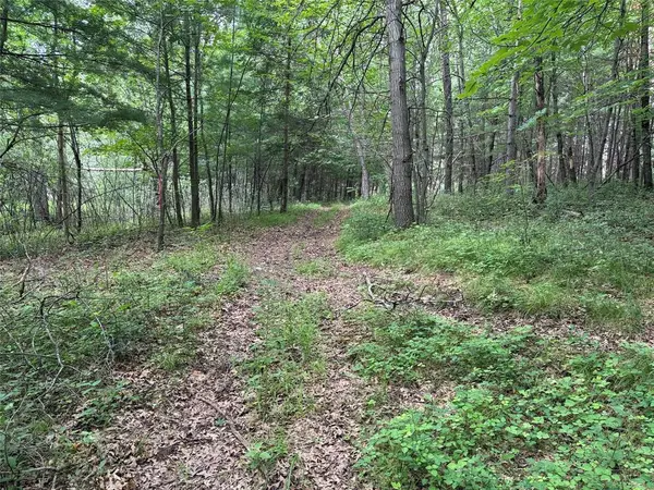 Lots 19 & 20 449th Street, Menomonie, WI 54751