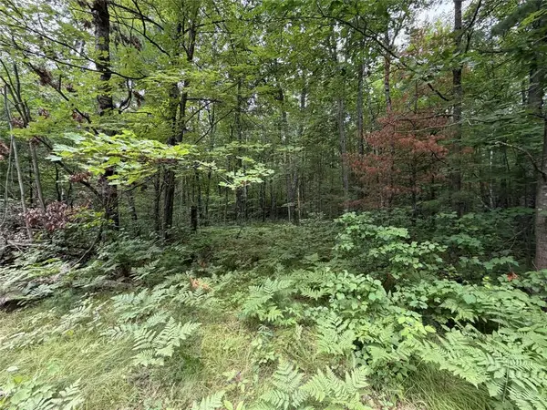 Lot 1 Nor Wis Road, Hayward, WI 54843