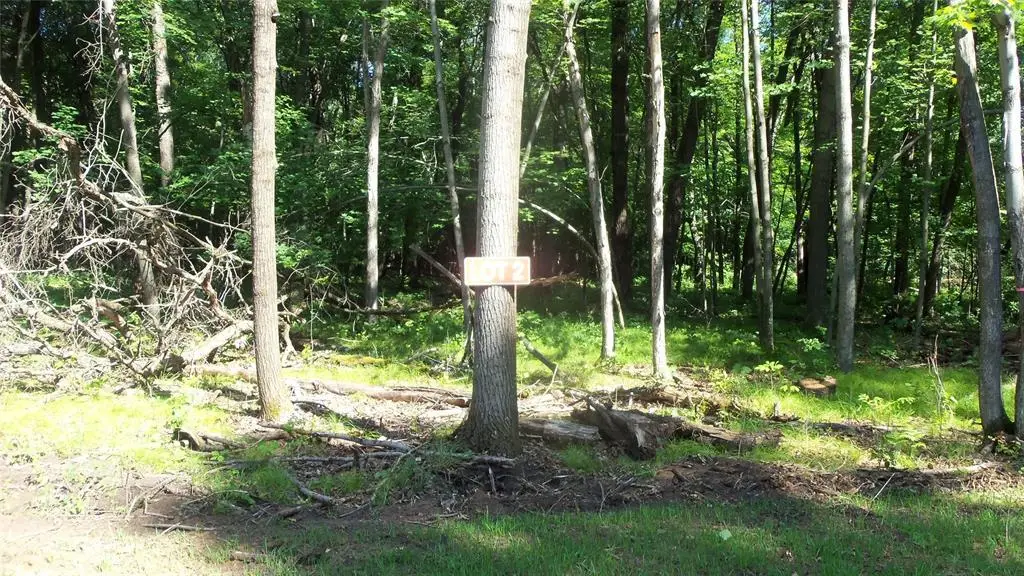 Lot 2 Howard Johnson Trail, Siren, WI 54872 - #1