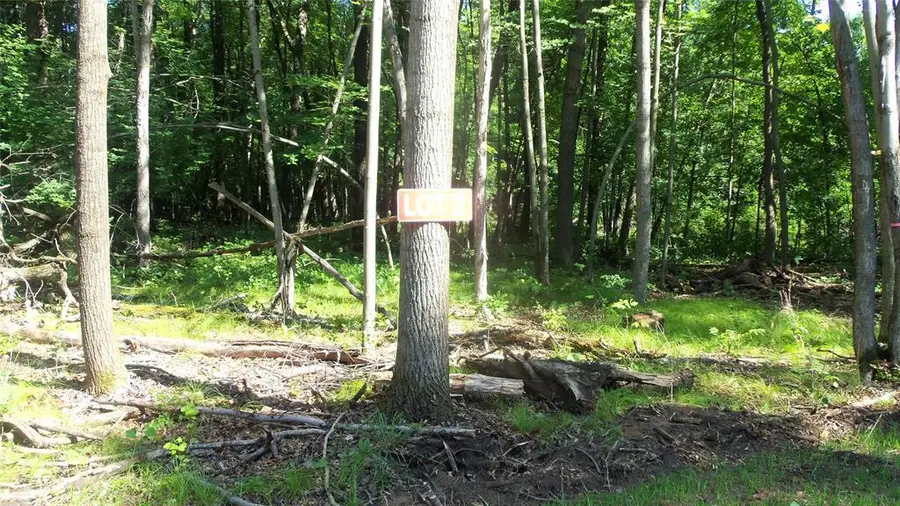 Lot 2 Howard Johnson Trail, Siren, WI 54872 - #2