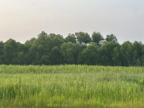 Lot 4 28th Avenue, Elk Mound, WI 54739