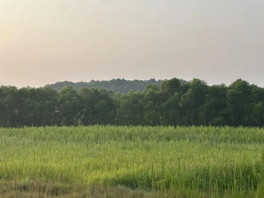 Lot 4 28th Avenue, Elk Mound, WI 54739 - #2