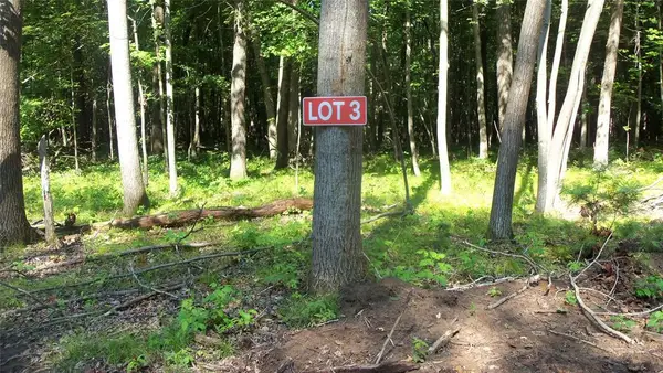 Lot 3 Howard Johnson Trl, Siren, WI 54872
