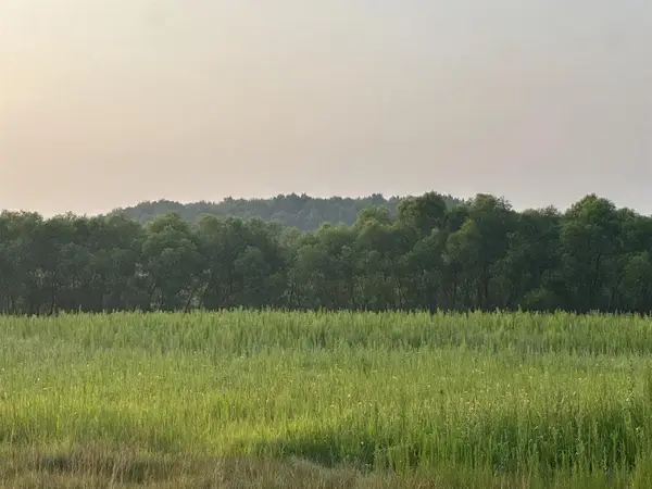 Lot 5 28th Avenue, Elk Mound, WI 54739