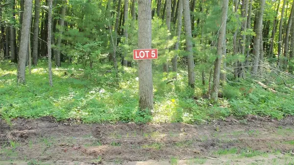 Lot 5 Howard Johnson Trl, Siren, WI 54872