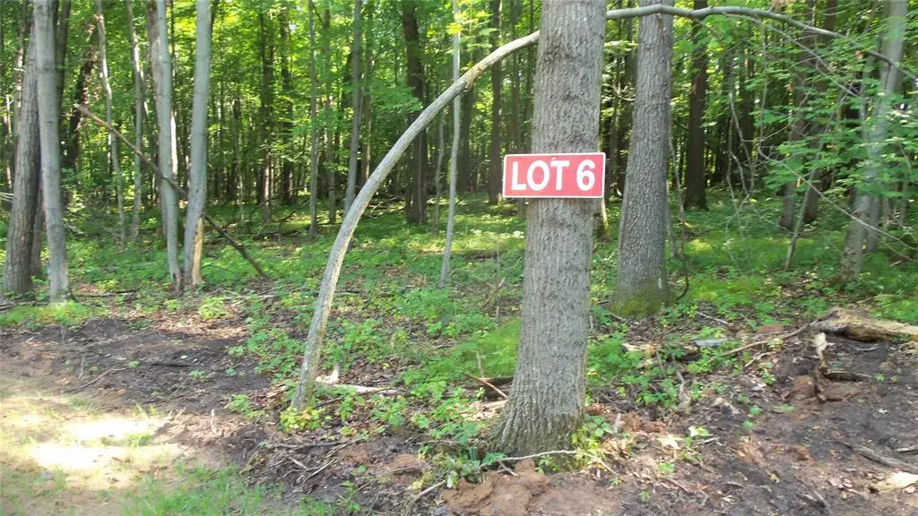 Lot 6 Howard Johnson Trail, Siren, WI 54872 - #1