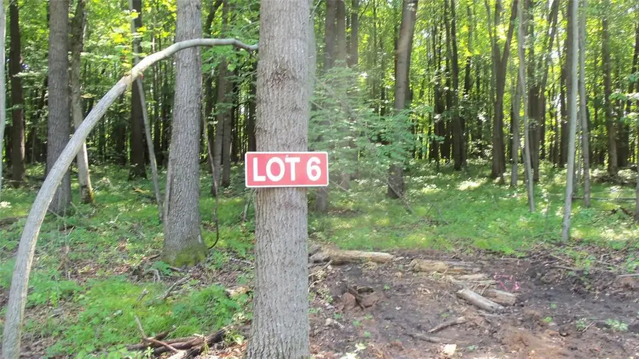 Lot 6 Howard Johnson Trail, Siren, WI 54872 - #2