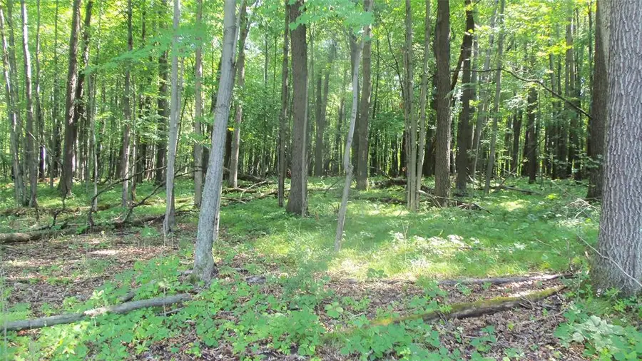 Lot 6 Howard Johnson Trail, Siren, WI 54872 - #3