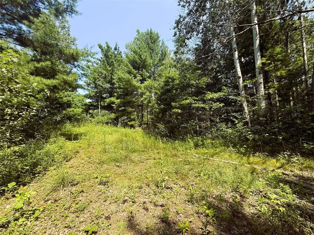N3720 State Highway 40, Bruce, WI 54819 - #1