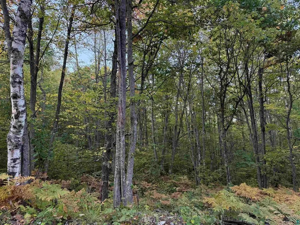 000 US Highway 2, Iron River, WI 54847 - #1