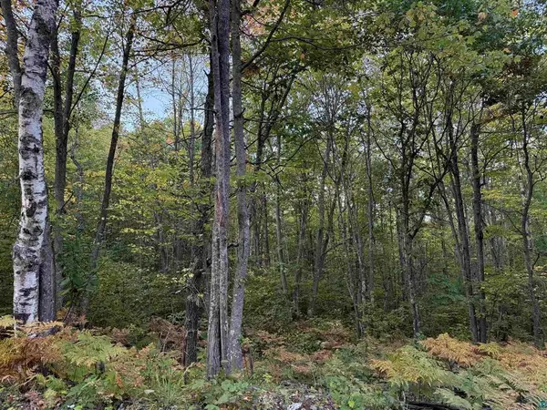 000 US Highway 2, Iron River, WI 54847