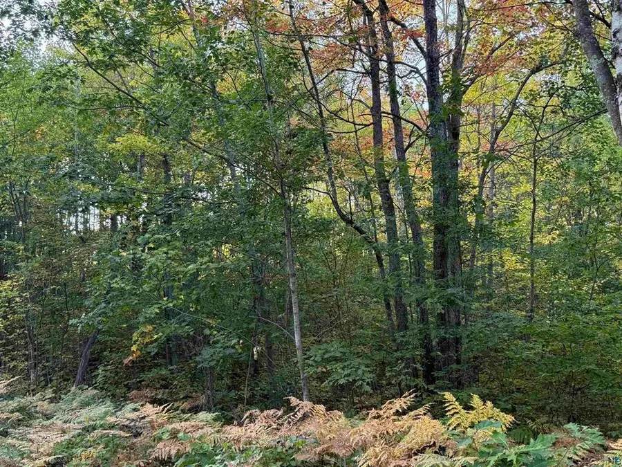 000 US Highway 2, Iron River, WI 54847 - #2
