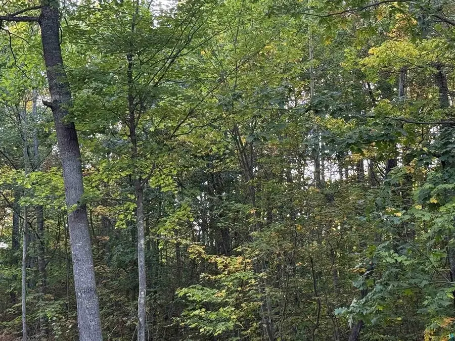 000 US Highway 2, Iron River, WI 54847 - #3