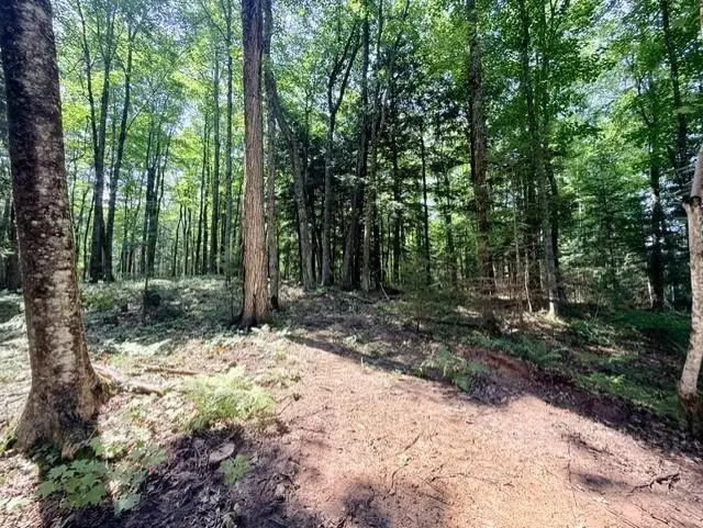 8359W State Highway 77, Hayward, WI 54843 - #3