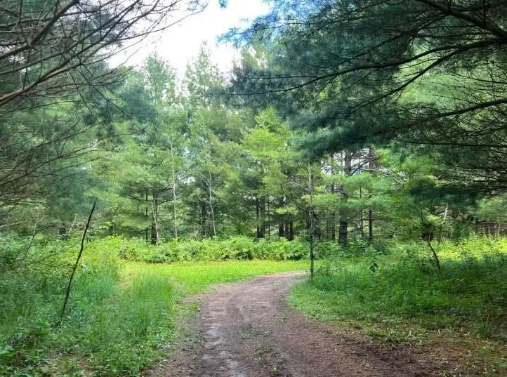 00000 Lily Lake Inn Road, Webster, WI 54893 - #2