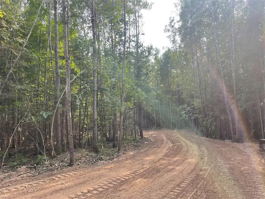 Lot 6 Uncle Toms Road, Loretta, WI 54896 - #3