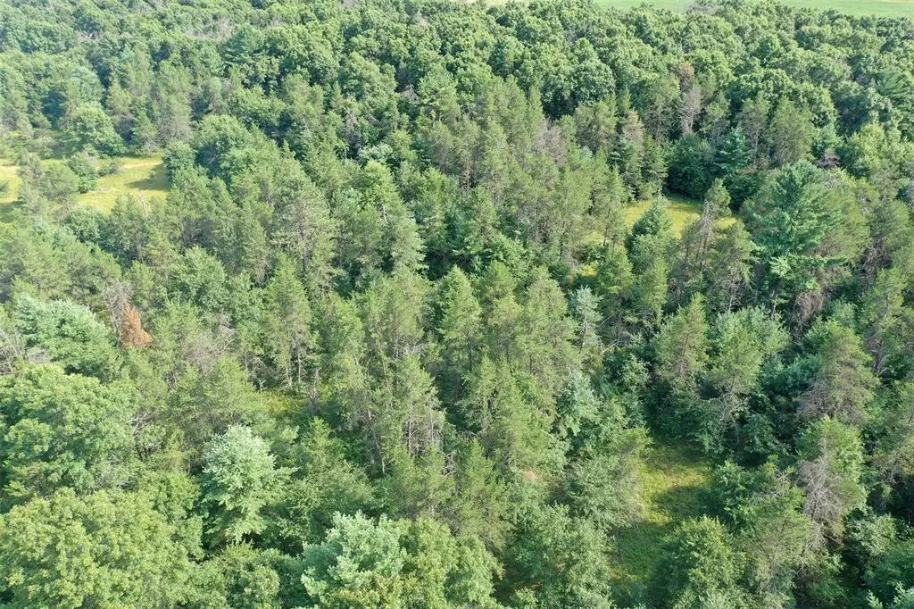 13160 S Camp Road, Fairchild, WI 54741 - #1