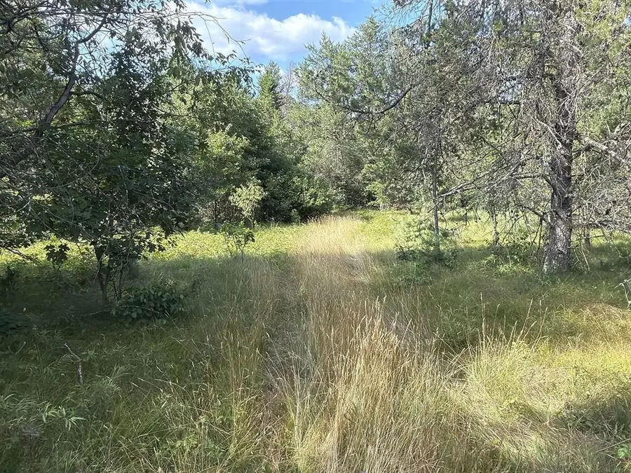 13160 S Camp Road, Fairchild, WI 54741 - #3
