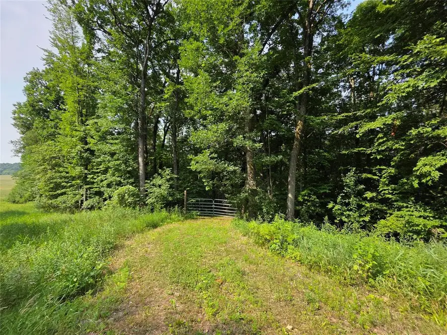 Lot 0 County Rd W, Colfax, WI 54730 - #2