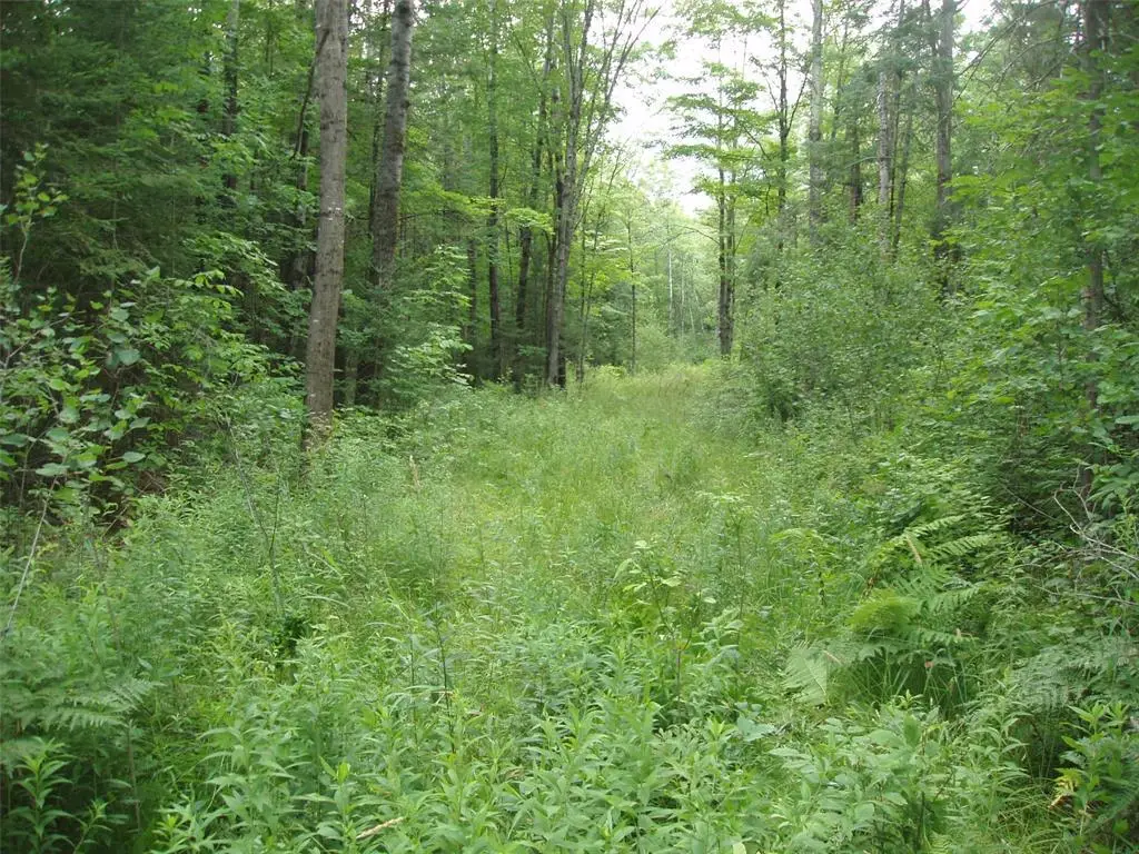 40+/- A ON State Highway 102, Ogema, WI 54459 - #1