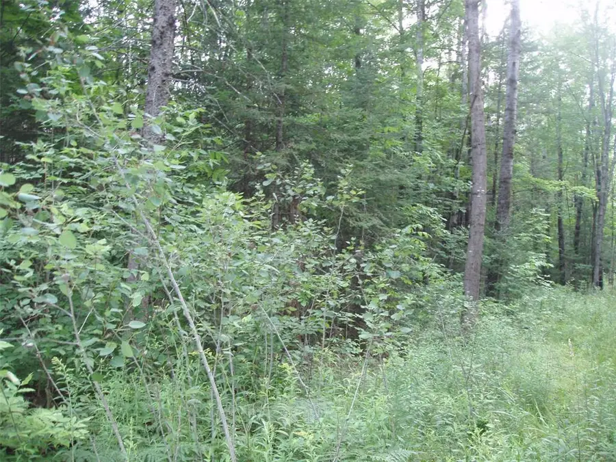 40+/- A ON State Highway 102, Ogema, WI 54459 - #3