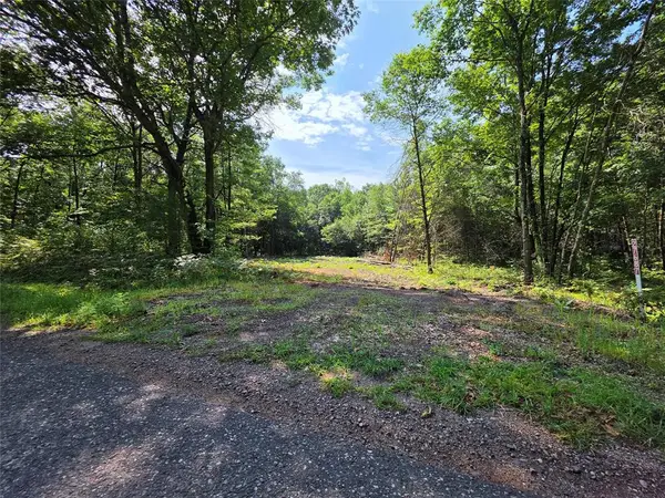 27687 295th Avenue, Holcombe, WI 54745