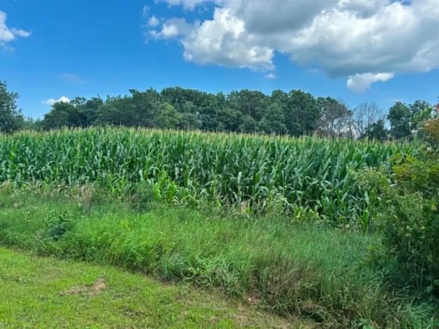 Vacant Land 420th Avenue, Menomonie, WI 54751 - #3