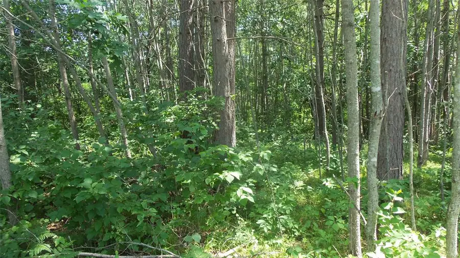Lot 6 Birch Tree Trail, Spooner, WI 54801 - #3