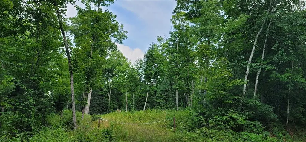 0000 Lower Twin Lake, Hayward, WI 54843 - #1