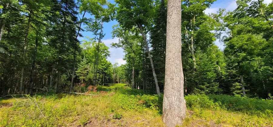 0000 Lower Twin Lake, Hayward, WI 54843 - #3