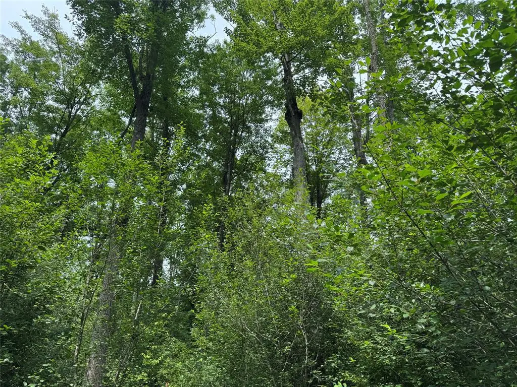 OOO Patton Drive, Marshfield, WI 54449 - #1