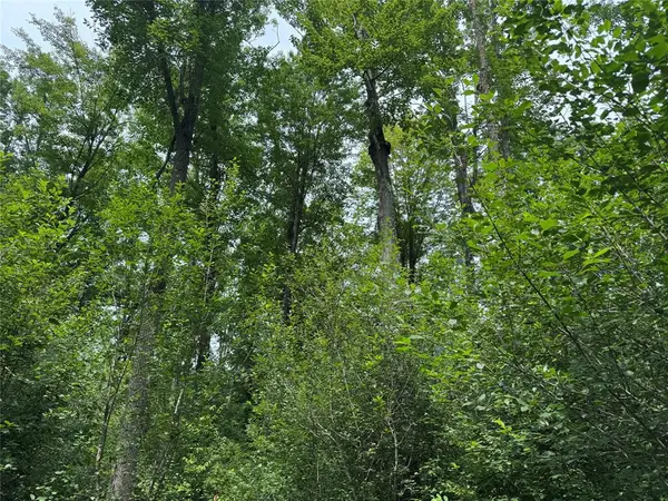 OOO Patton Drive, Marshfield, WI 54449