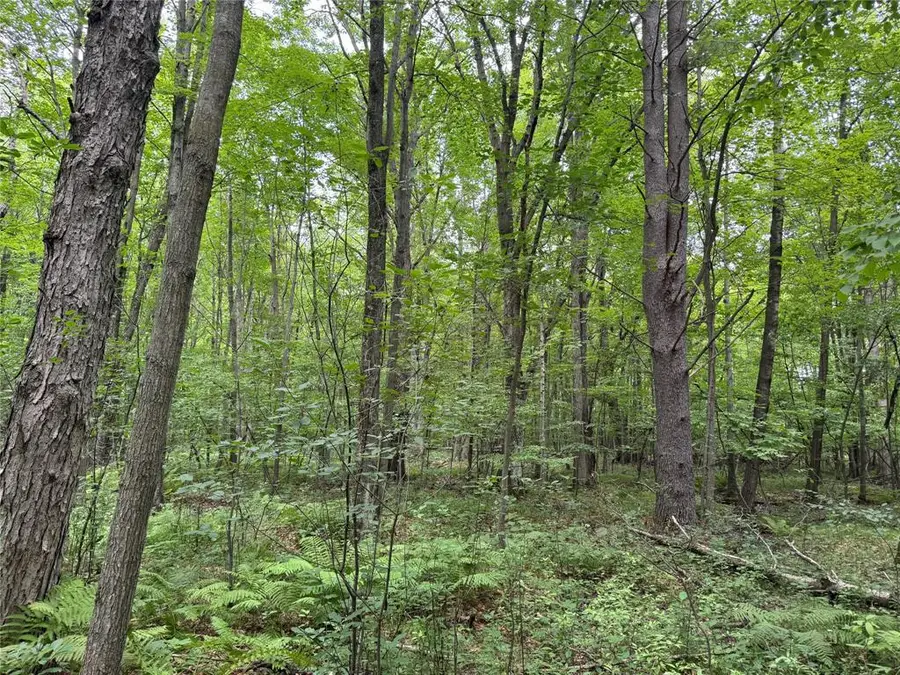 OOO Patton Drive, Marshfield, WI 54449 - #2