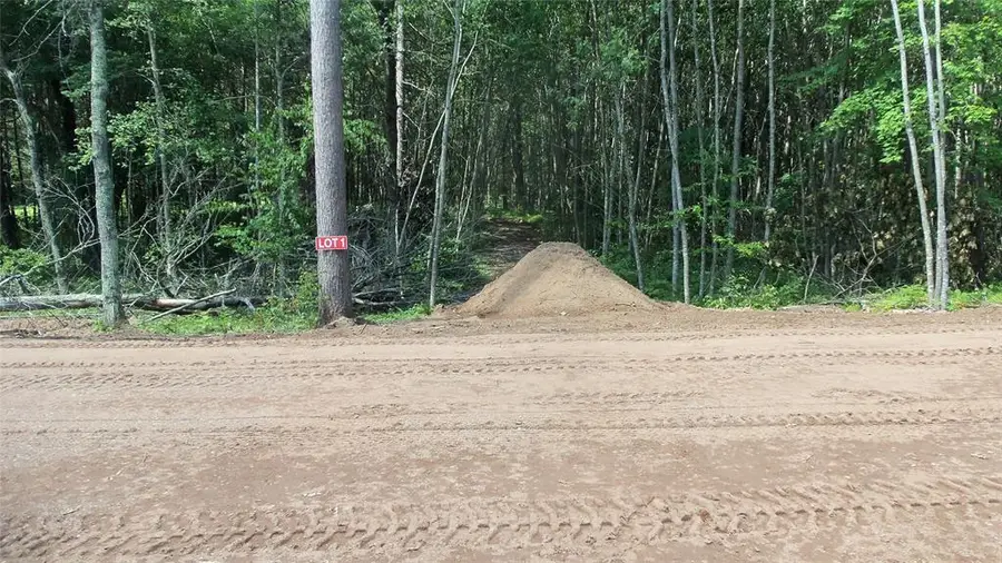 Lot 1 Birch Tree Trail, Spooner, WI 54801 - #3