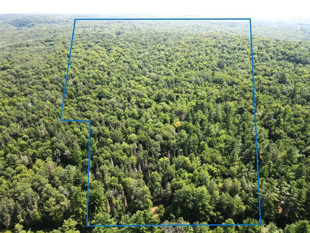LOT 4 Smith Road, Couderay, WI 54828 - #1